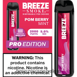 Breeze Pro 2000 trekjes - Breeze vape Amman pom bessen munt F242R17