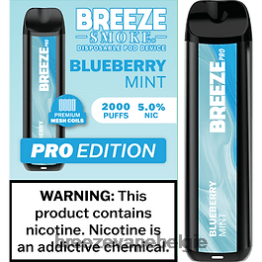 Breeze Pro 2000 trekjes - Breeze vape order online bosbessen munt F242R33
